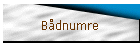 Bdnumre